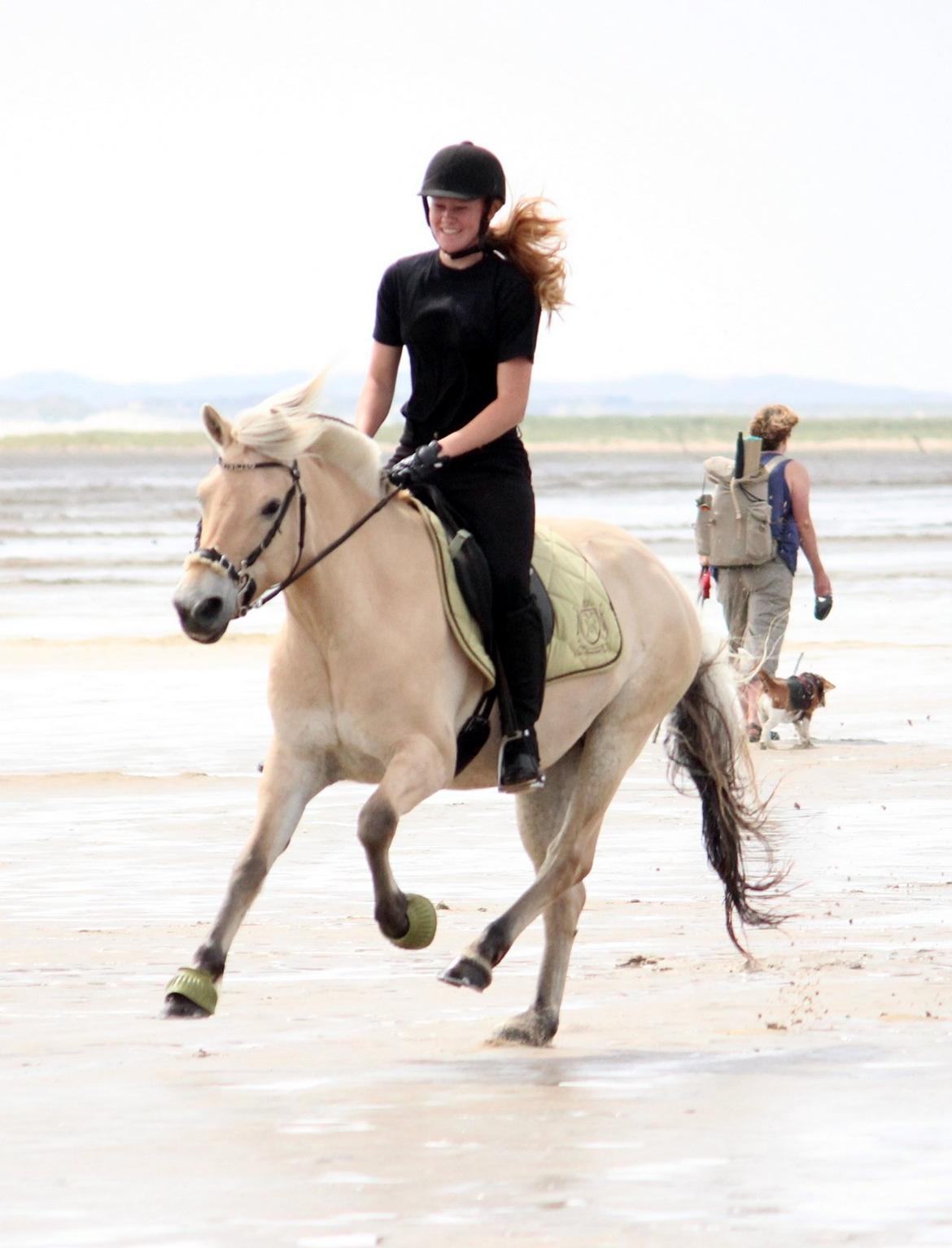 På ferie til Rømø - Vi er glade billede 15