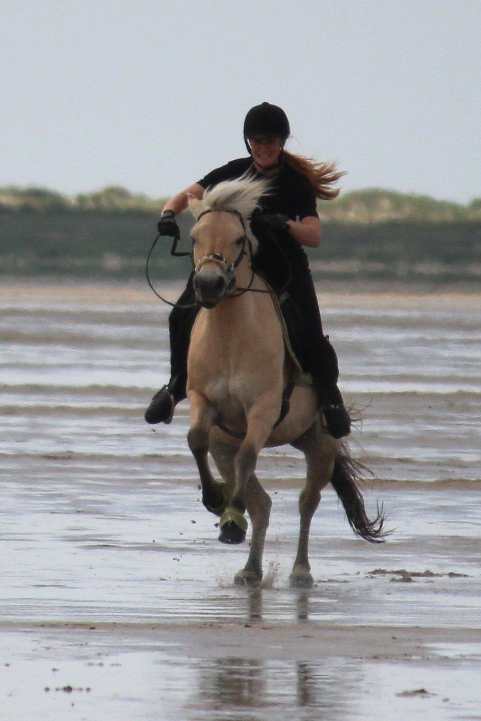 På ferie til Rømø - Og så går det bare derud af. billede 17