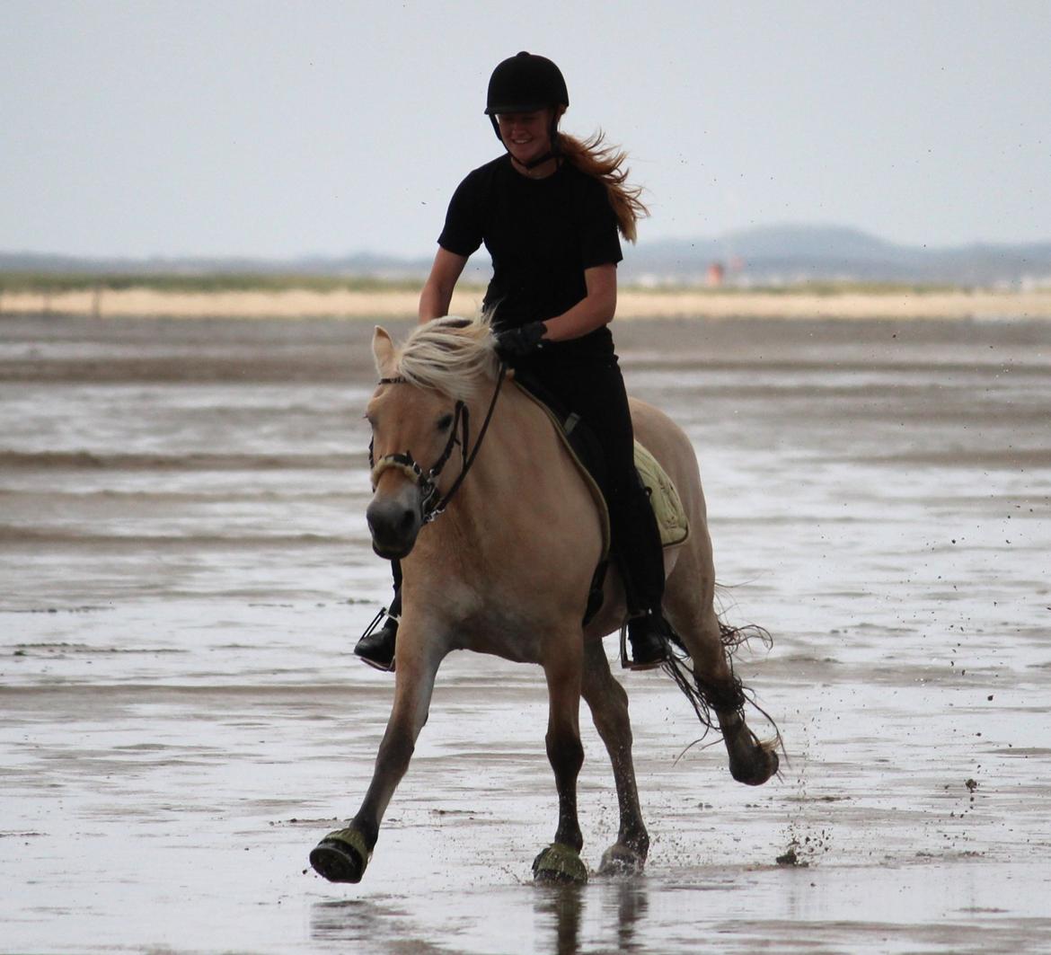På ferie til Rømø - Galop billede 18