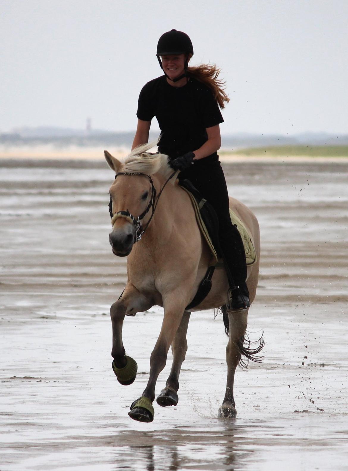 På ferie til Rømø - Galop billede 19
