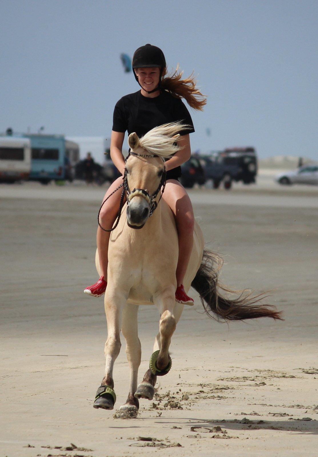 På ferie til Rømø - Wee billede 24
