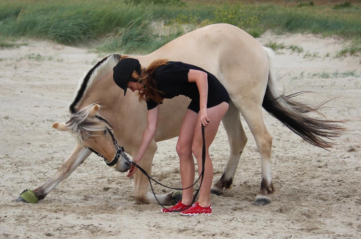 På ferie til Rømø - Freja nejer. billede 25