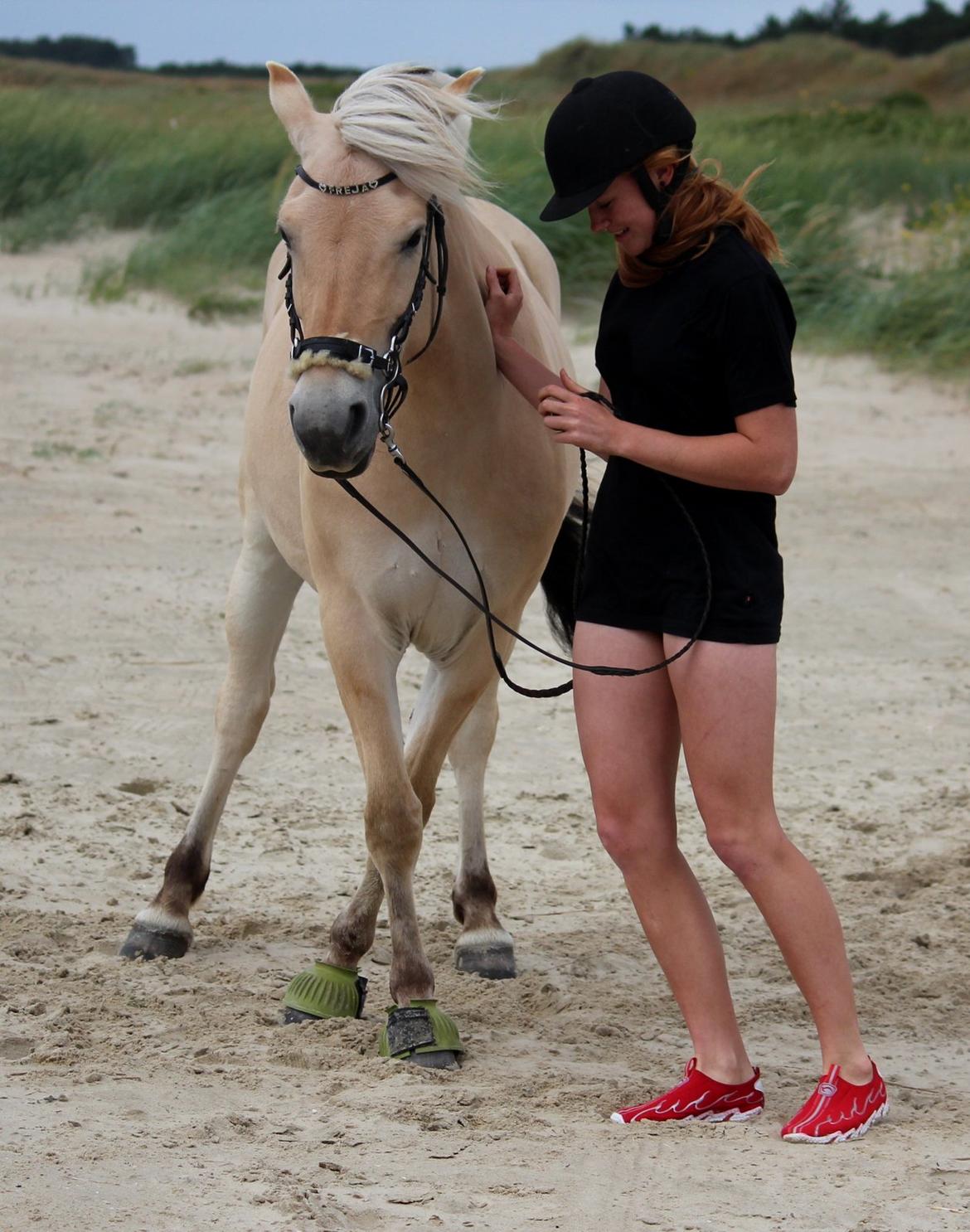 På ferie til Rømø - Freja tror hun skal lave sidebevægelser, jeg er så igang med at fortælle hende, at det ikke er det jeg vil have hende til :-) billede 26
