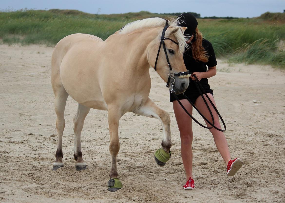 På ferie til Rømø - Løfte venstre billede 30