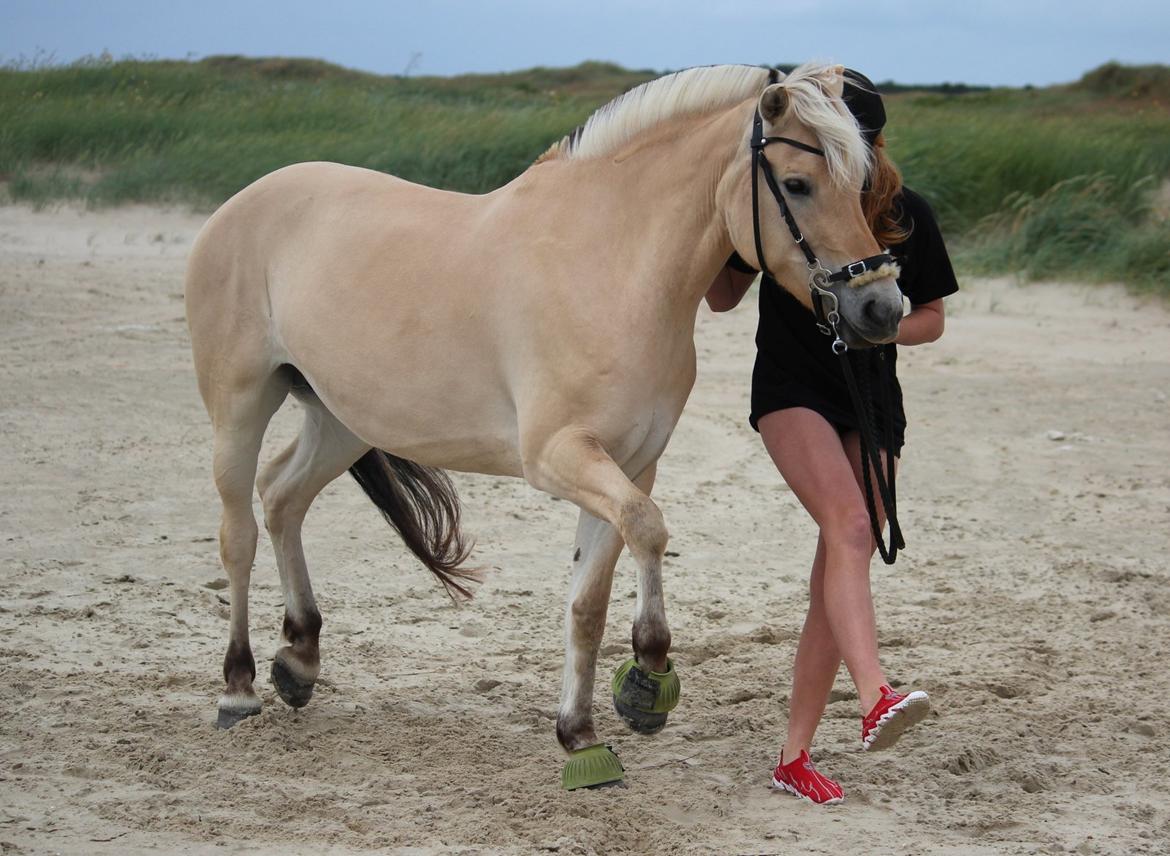 På ferie til Rømø - Løfte højre billede 31