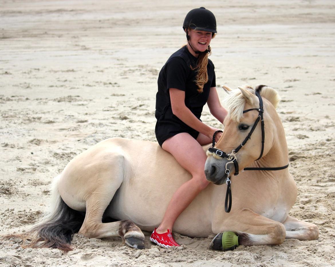 På ferie til Rømø - Vi ligger på stranden og hygger :-) billede 32