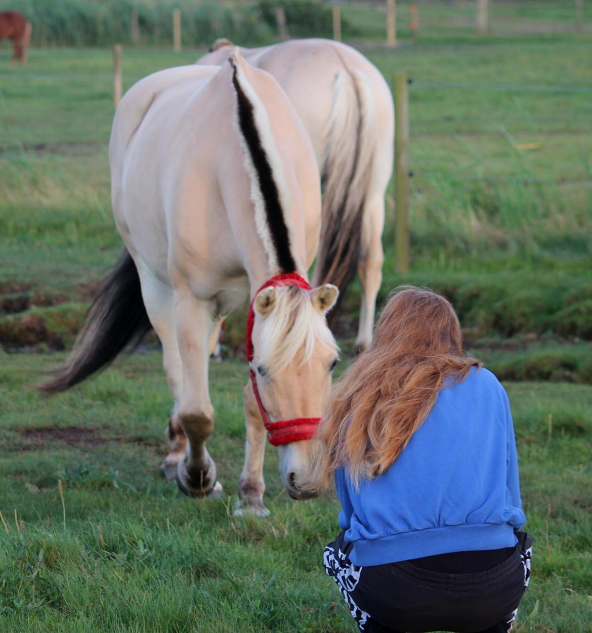 På ferie til Rømø - Freja var utrolig snaksagelig under hele opholdet. billede 34