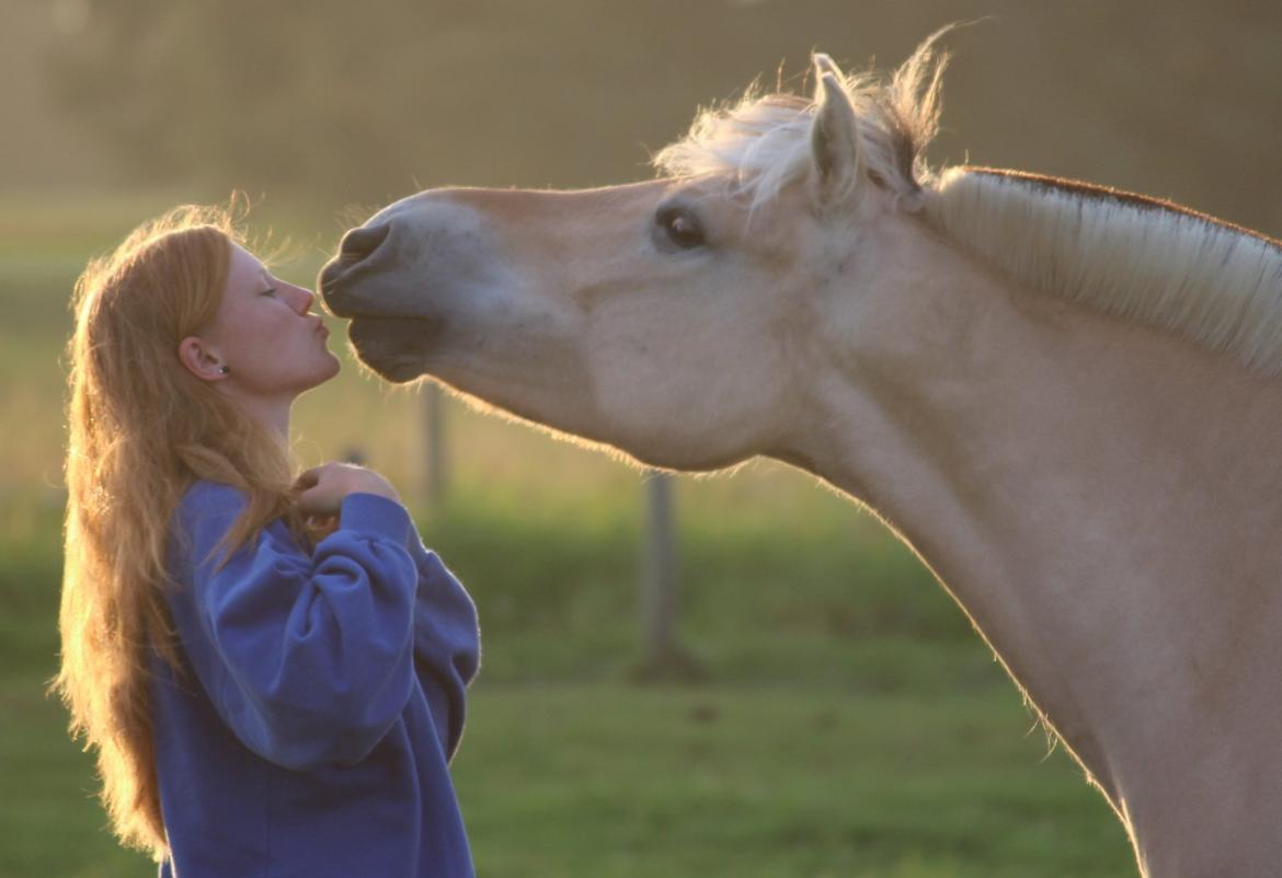 På ferie til Rømø - Møs-møs billede 35