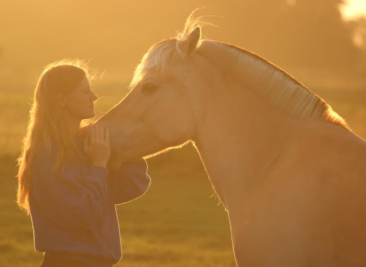 På ferie til Rømø - Freja og jeg i solnedgangen billede 36