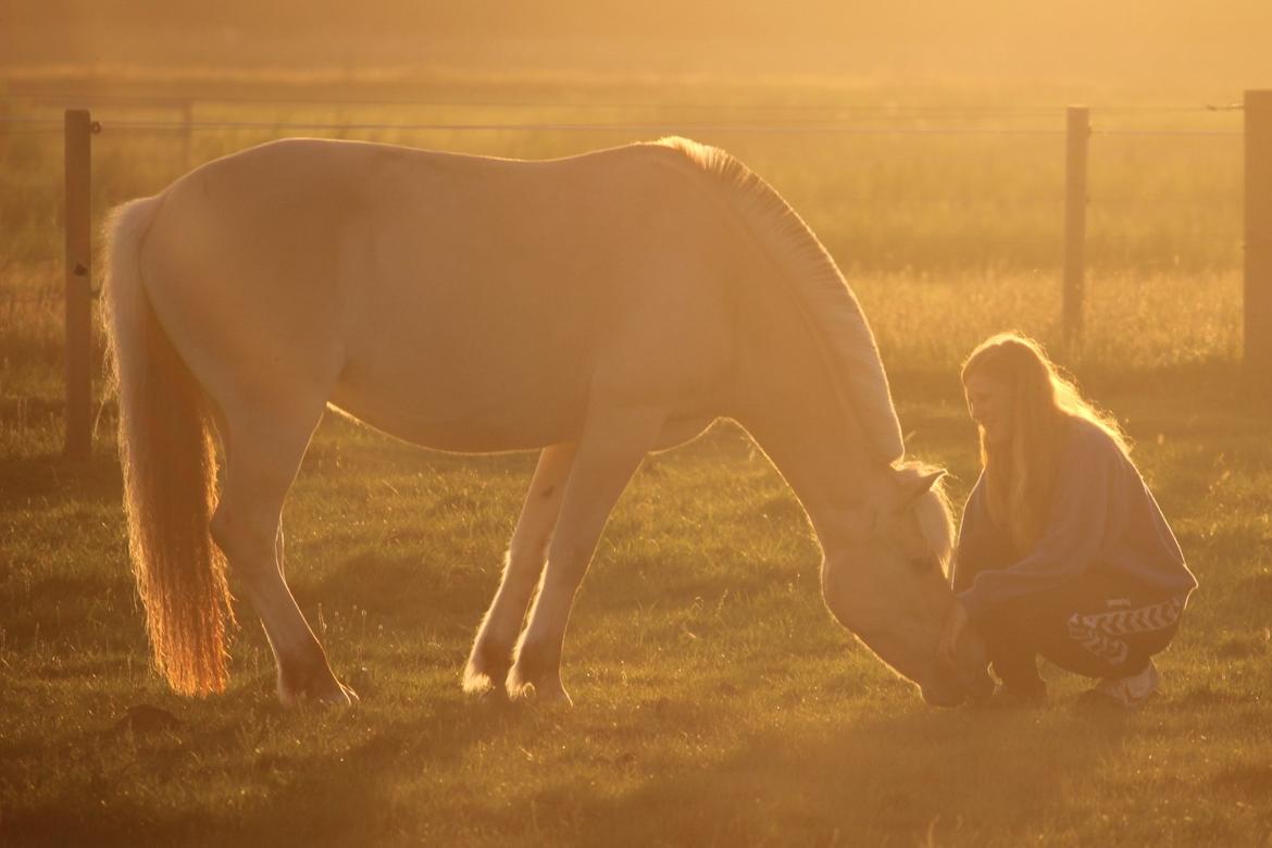 På ferie til Rømø - Et forsøg på bjergged billede 39