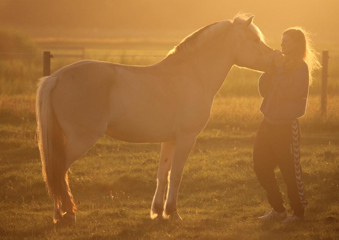 På ferie til Rømø - Vense <3 billede 40