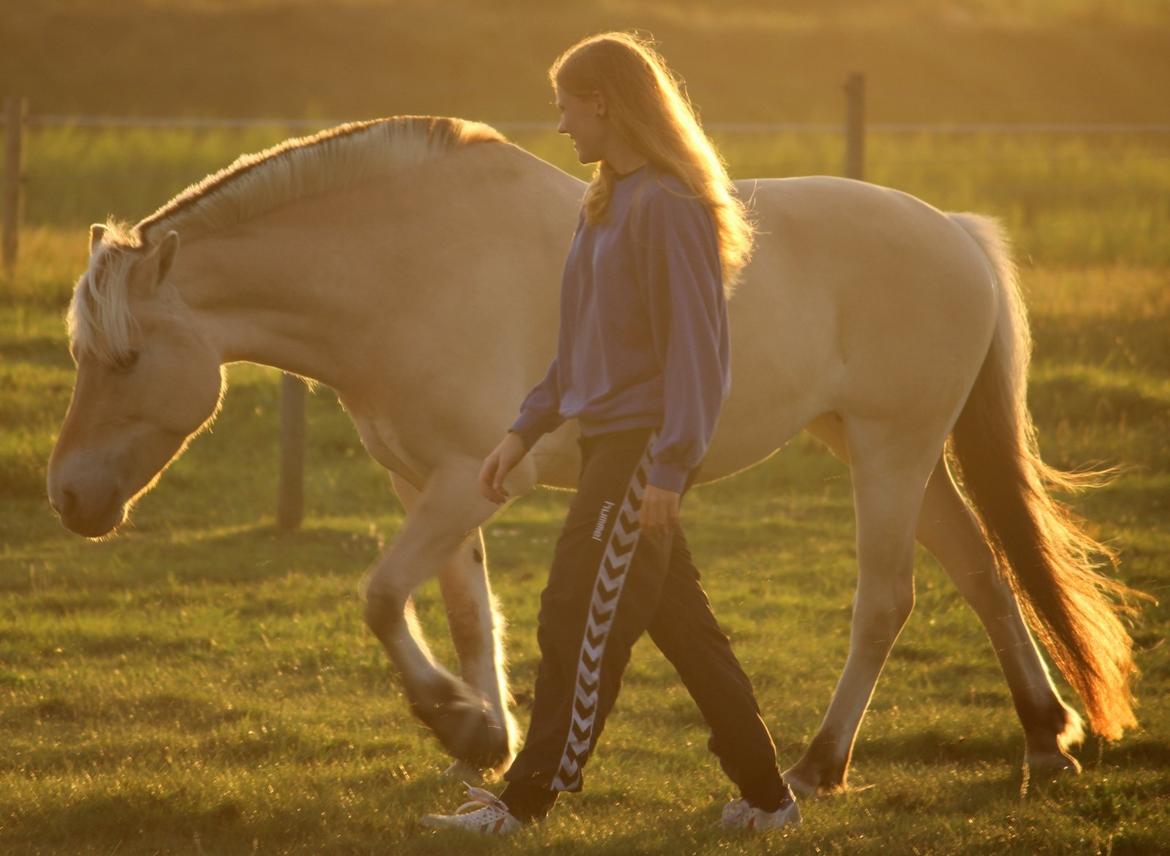 På ferie til Rømø - Går lige lidt rundt... billede 41