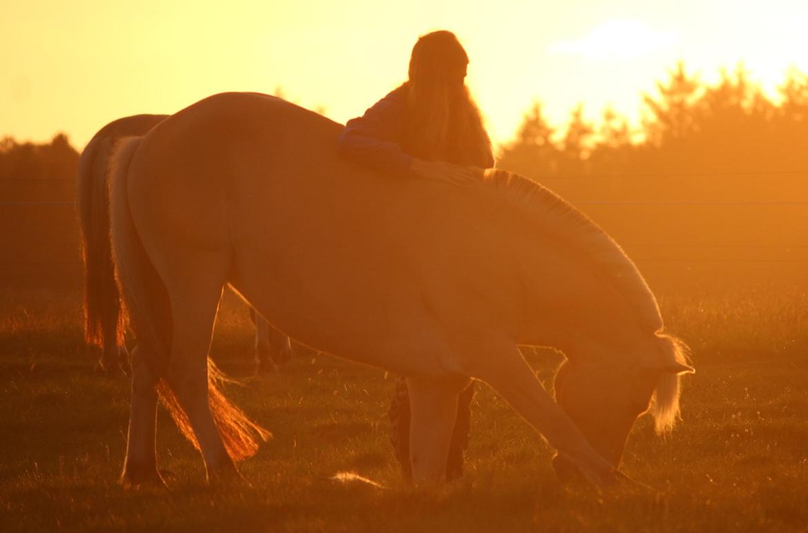 På ferie til Rømø - Neje kan hun også :-) billede 42