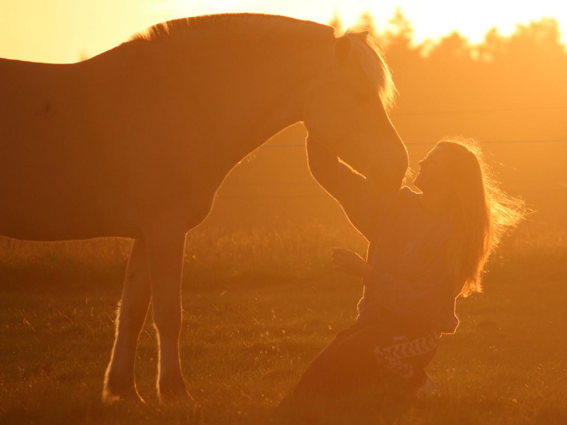 På ferie til Rømø - Smukke, smukke ven! billede 43