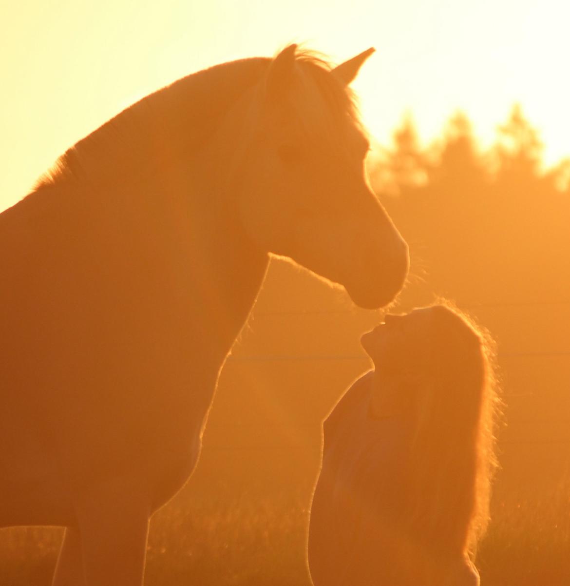 På ferie til Rømø - En lidt kraftig hals, lige her ;-) billede 45