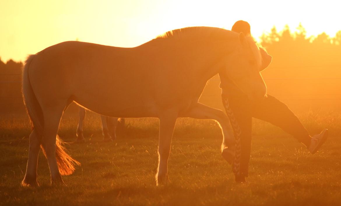 På ferie til Rømø - Løfte :-) billede 46