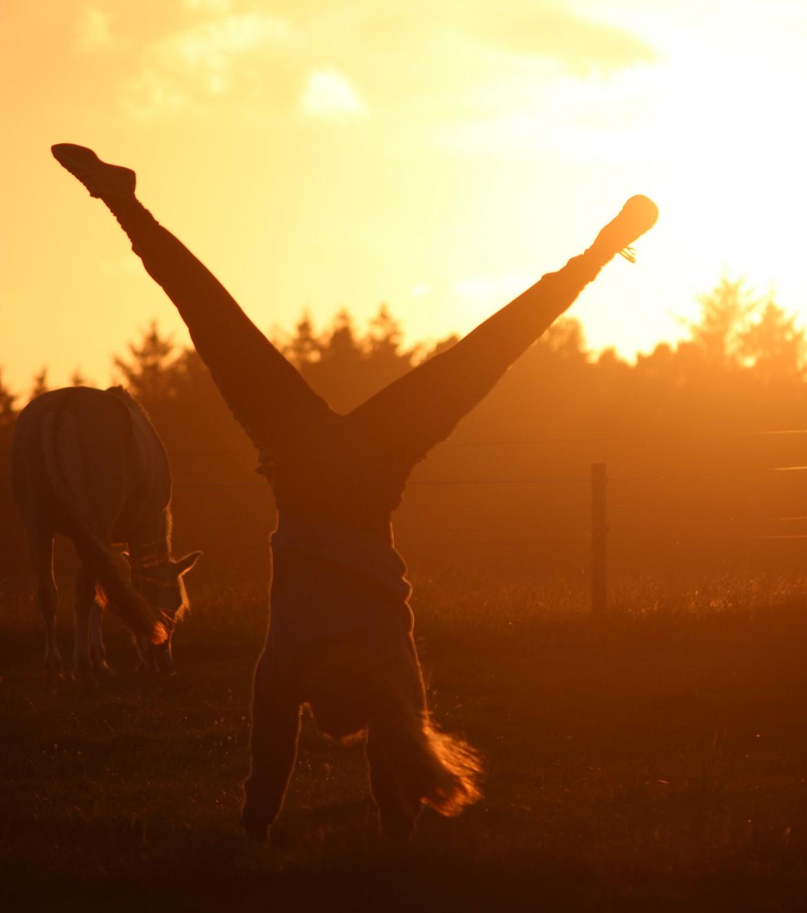 På ferie til Rømø - Julie trickser lige lidt ;-) billede 47