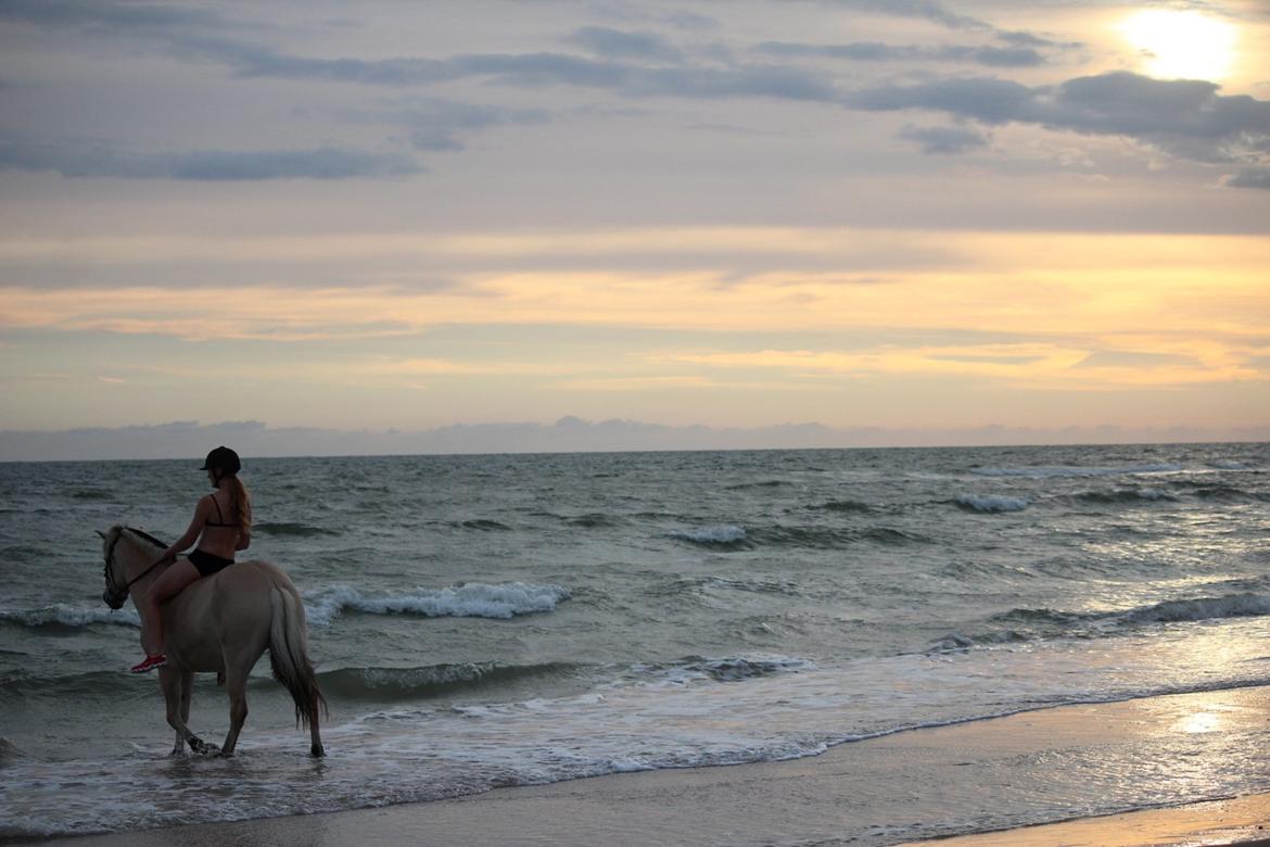 På ferie til Rømø - Freja og jeg, ved det store vesterhav. billede 49