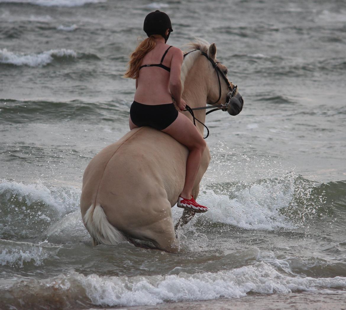 På ferie til Rømø - Uha, her kom en bølge som hun ikke havde set ;-) billede 50
