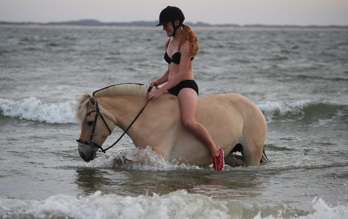 På ferie til Rømø - Så går det mere roligt for sig. billede 52