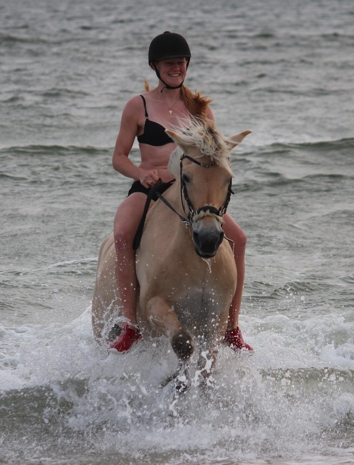 På ferie til Rømø - Trav i vandet billede 54