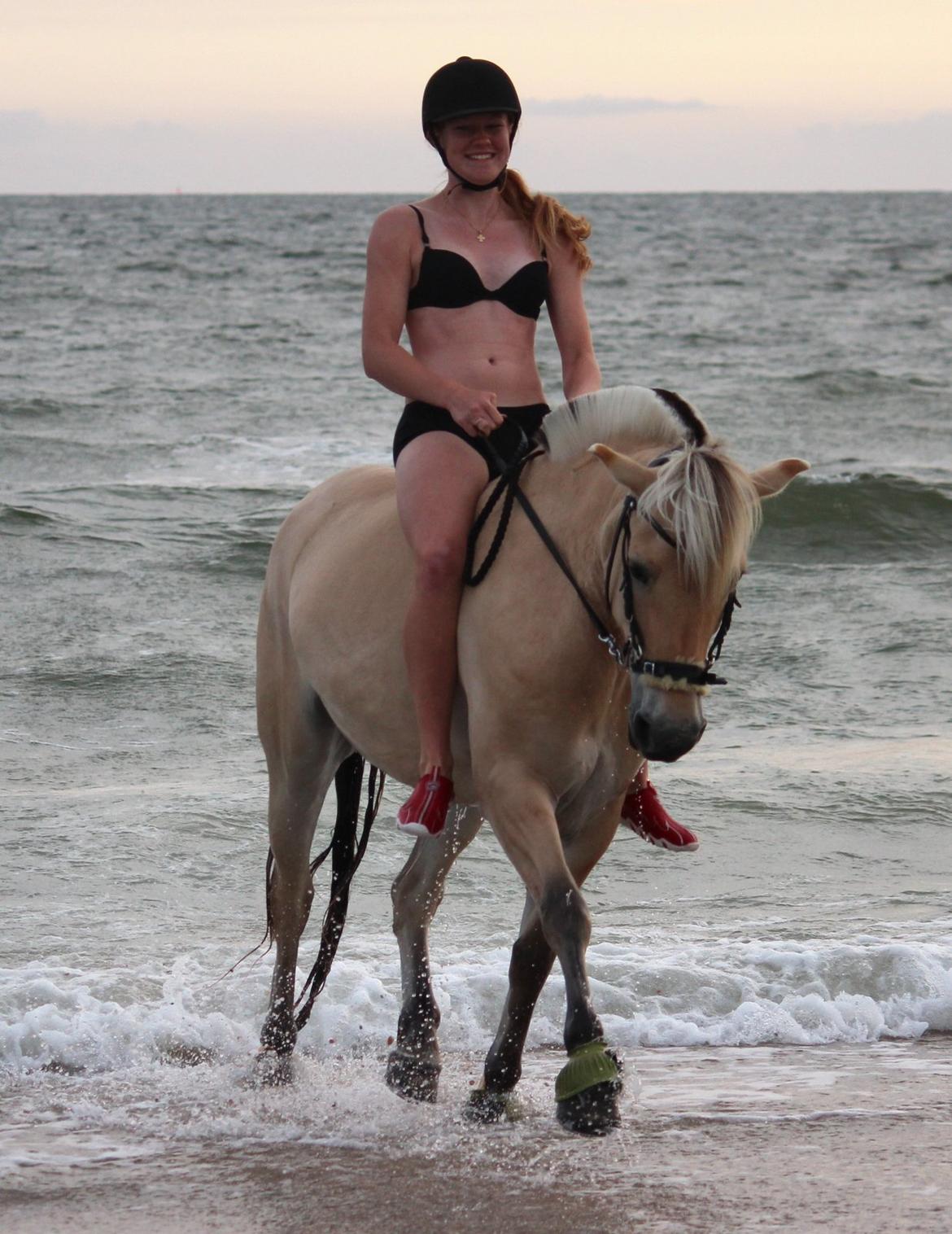 På ferie til Rømø - Så flot en Freja jeg har mig :-) billede 55