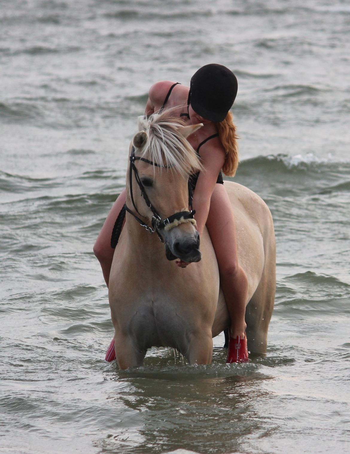 På ferie til Rømø - Til Frejas store skuffelse, havde jeg slet ingen godbid :-( billede 57