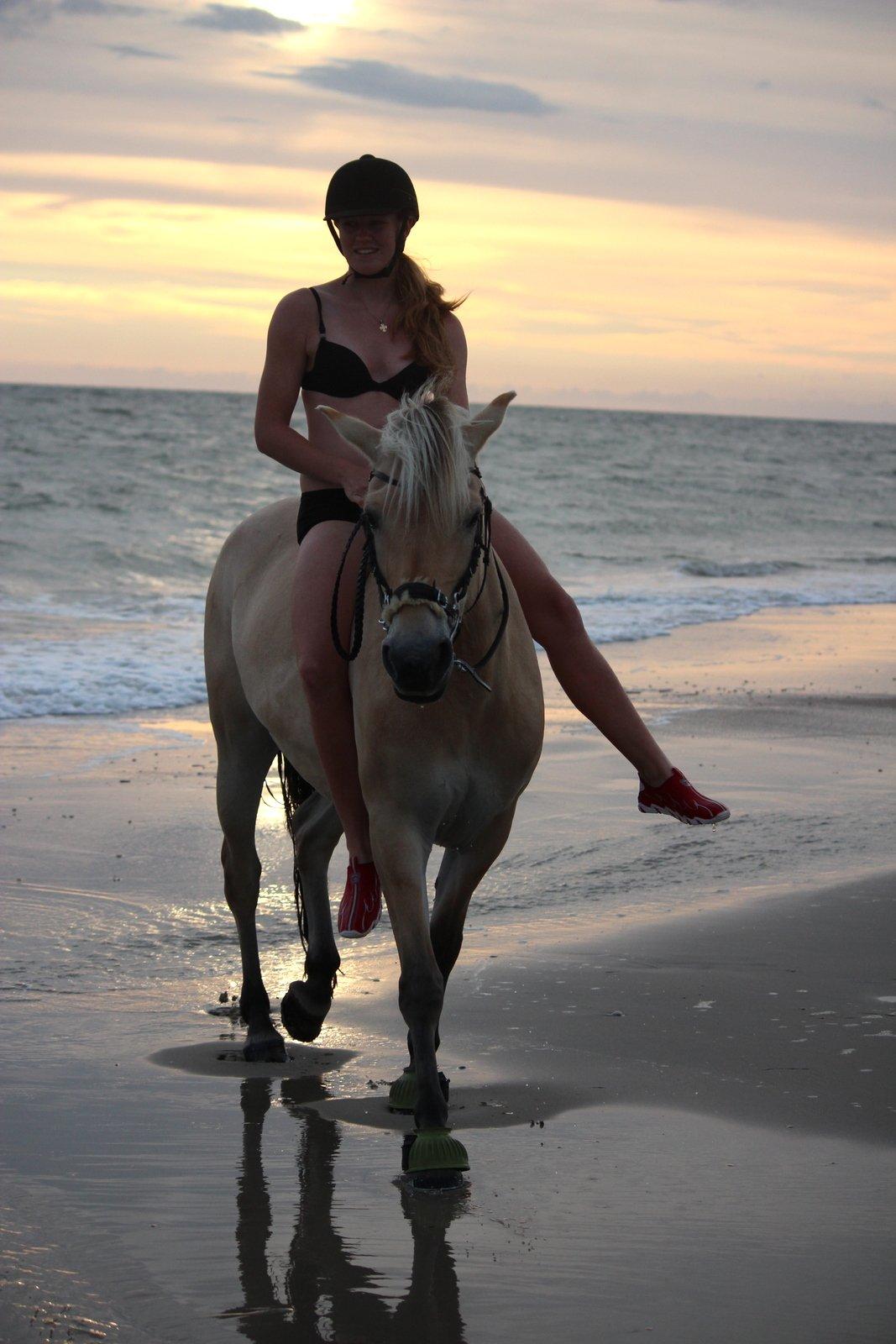 På ferie til Rømø - Tuller rundt i solnedgangen billede 59