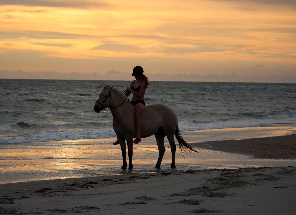 På ferie til Rømø - Dejligt dejligt billede! billede 1