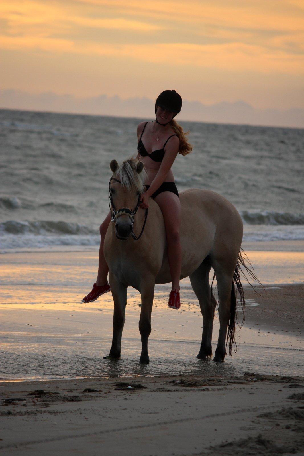 På ferie til Rømø - Freja og jeg. billede 60