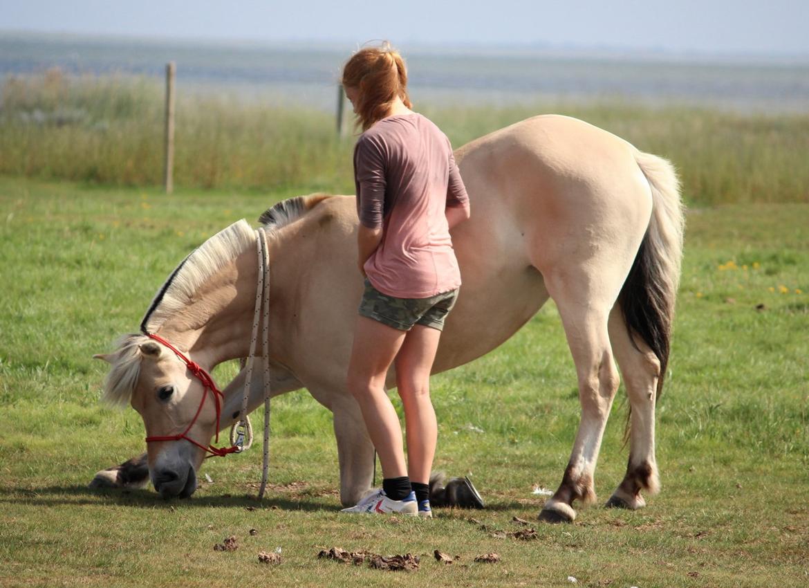 På ferie til Rømø - Freja nejer :-) billede 63