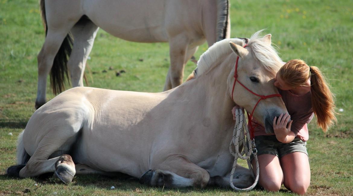 På ferie til Rømø - Og hun får lige et dejligt kys. billede 65