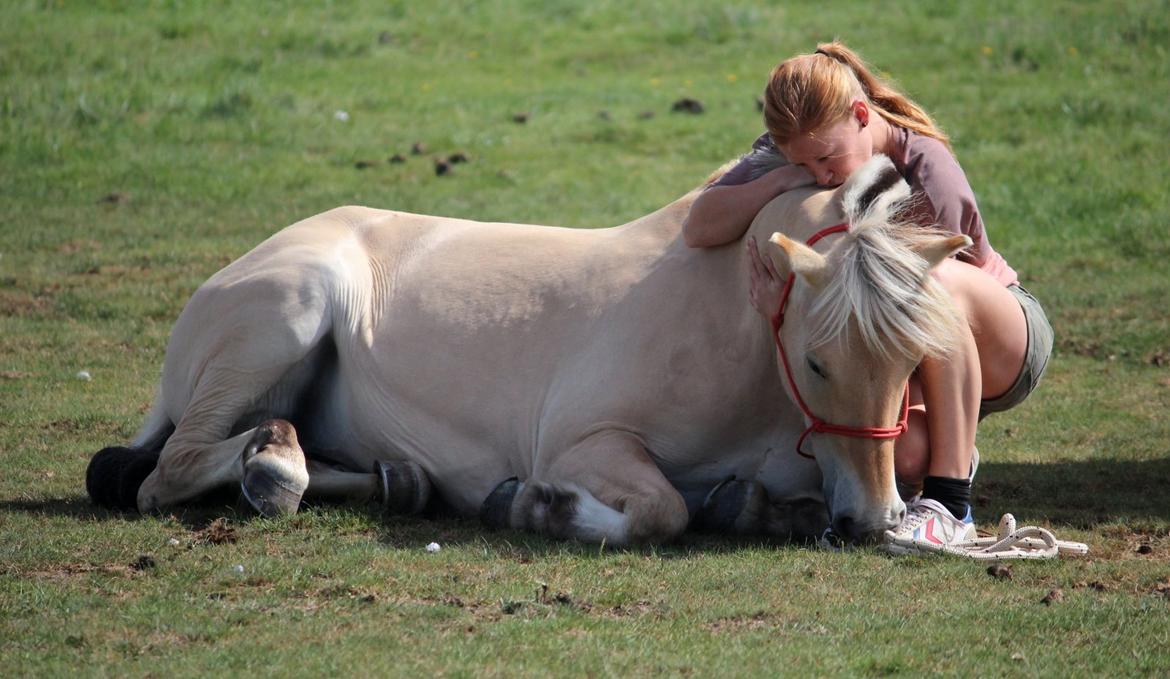 På ferie til Rømø - Freja lagde sig helt ned på siden, og blev liggende i lang tid. Hun var SÅ dejlig.
Det har jeg desværre også kun på video :-) billede 66