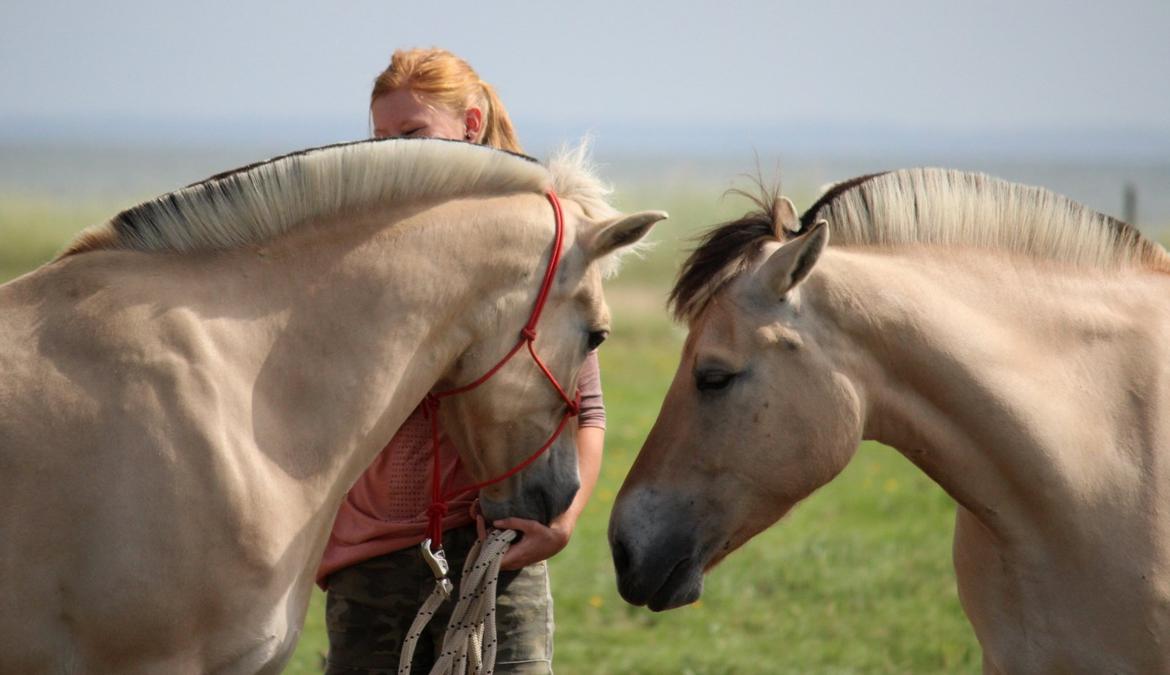 På ferie til Rømø - Freja, jeg og Lippa. billede 67