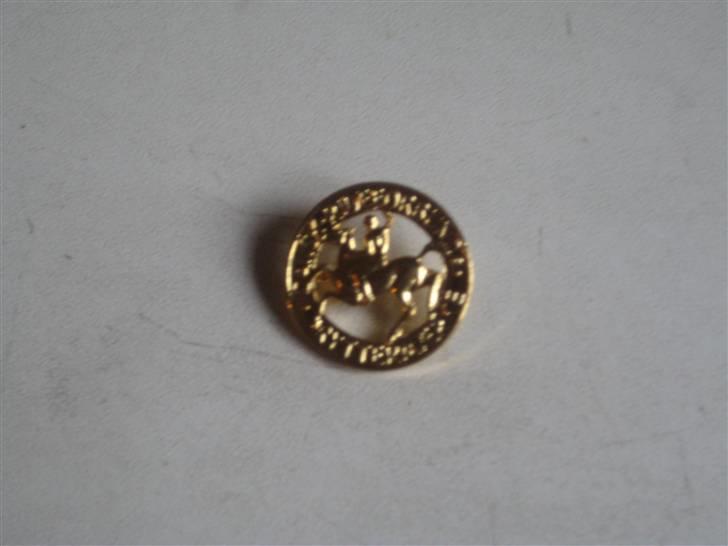 Mine rosetter - Mine pony mærker (guld) billede 15