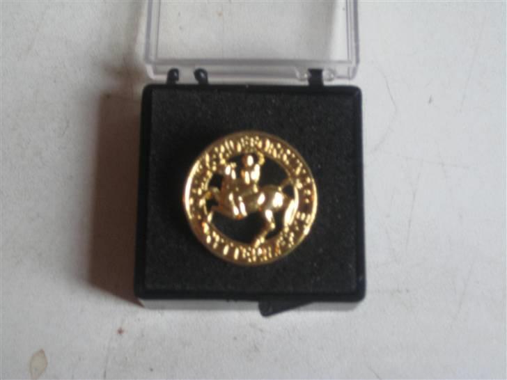 Mine rosetter - Mine pony mærker (guld) billede 16