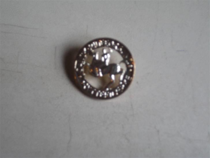 Mine rosetter - Mine pony mærker (sølv) billede 18