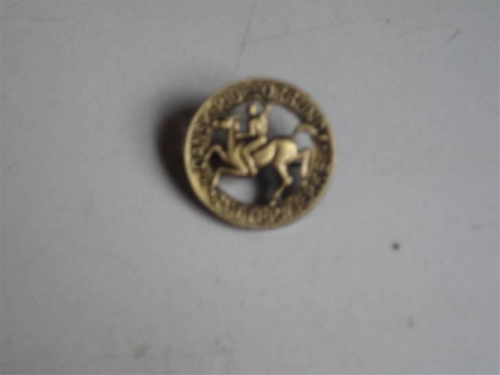 Mine rosetter - Mine pony mærker (bronze) billede 19