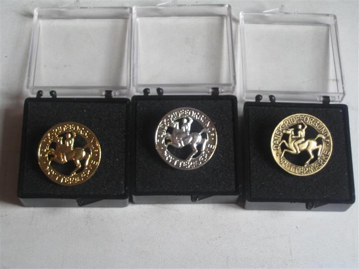 Mine rosetter - Mine pony mærker (guld, sølv og bronze) billede 20
