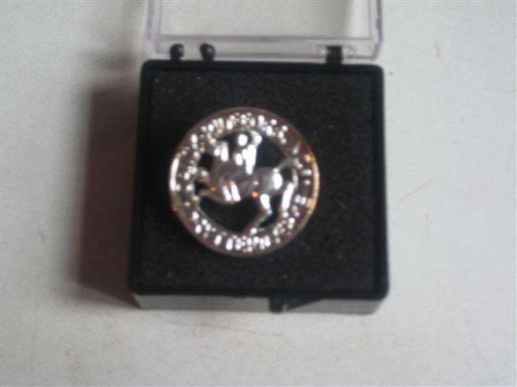 Mine rosetter - Mine pony mærker (sølv) billede 22