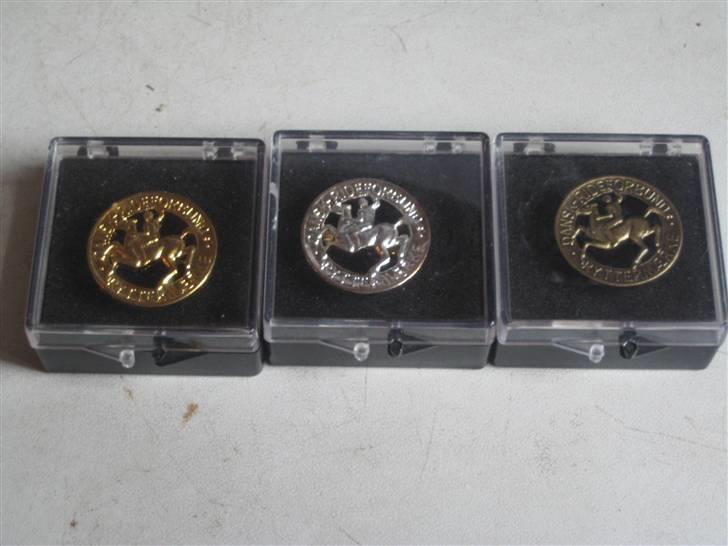 Mine rosetter - Mine pony mærker (guld, sølv og bronze) billede 24