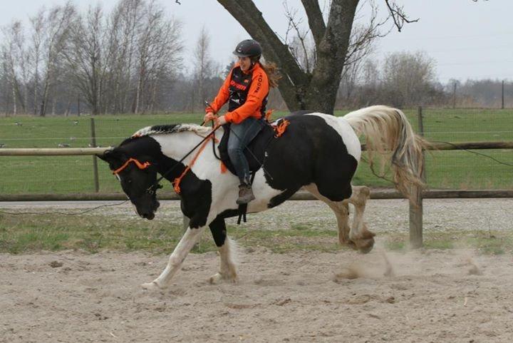 sjove/mærkelige/hyggelige billeder  billede 2