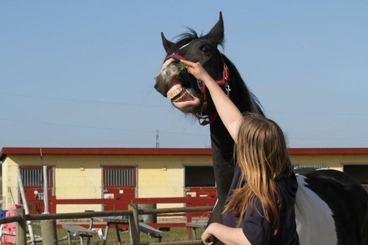 sjove/mærkelige/hyggelige billeder  billede 4