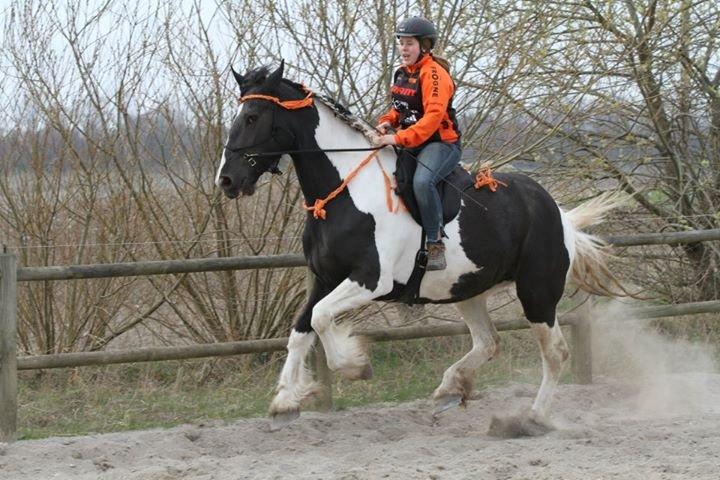 sjove/mærkelige/hyggelige billeder  billede 11