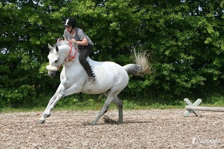 sjove/mærkelige/hyggelige billeder  billede 6