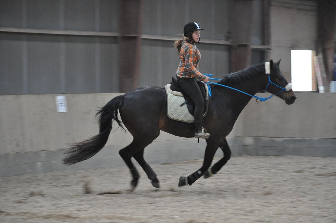 sjove/mærkelige/hyggelige billeder  billede 3