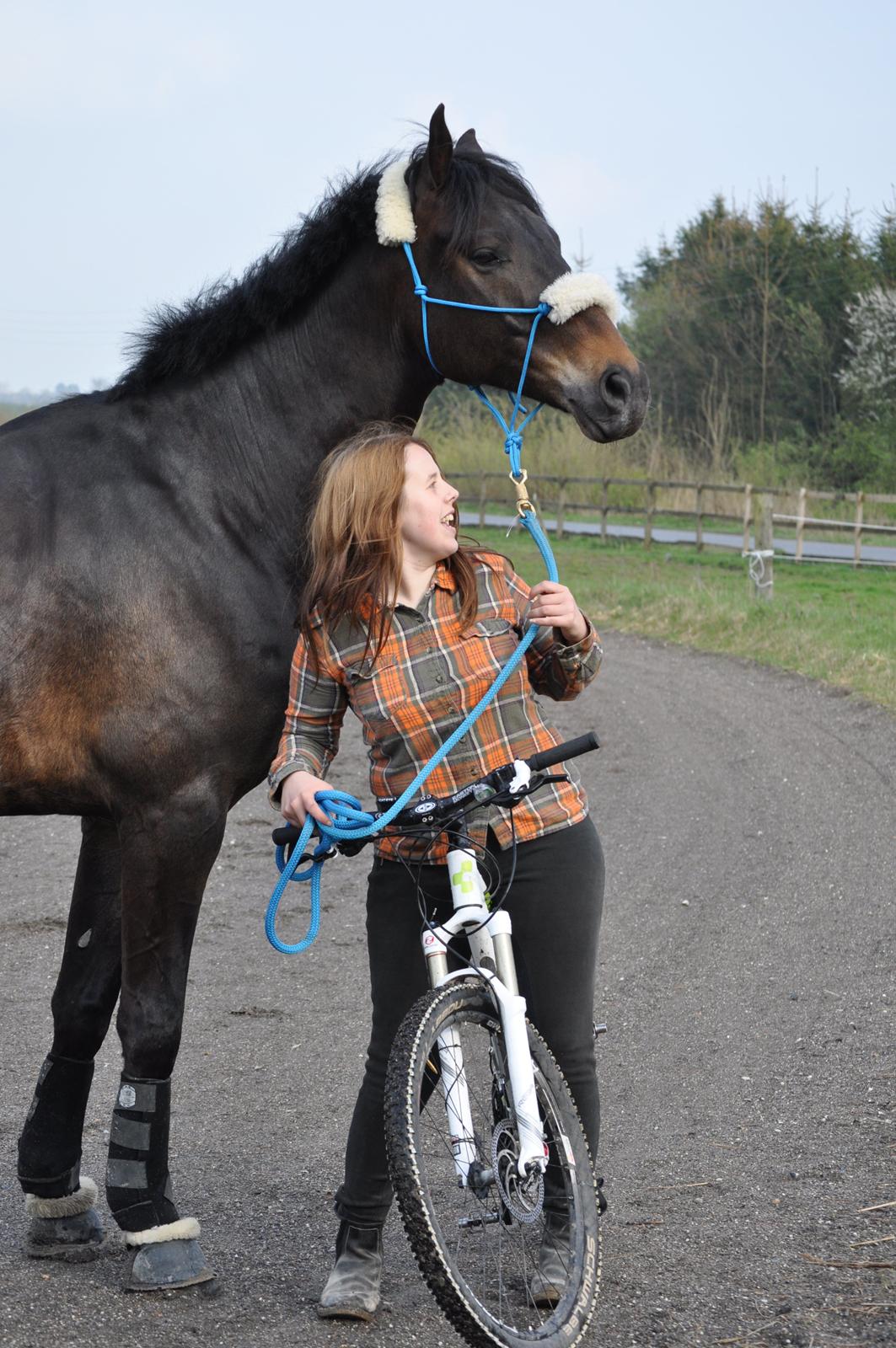 sjove/mærkelige/hyggelige billeder  billede 8