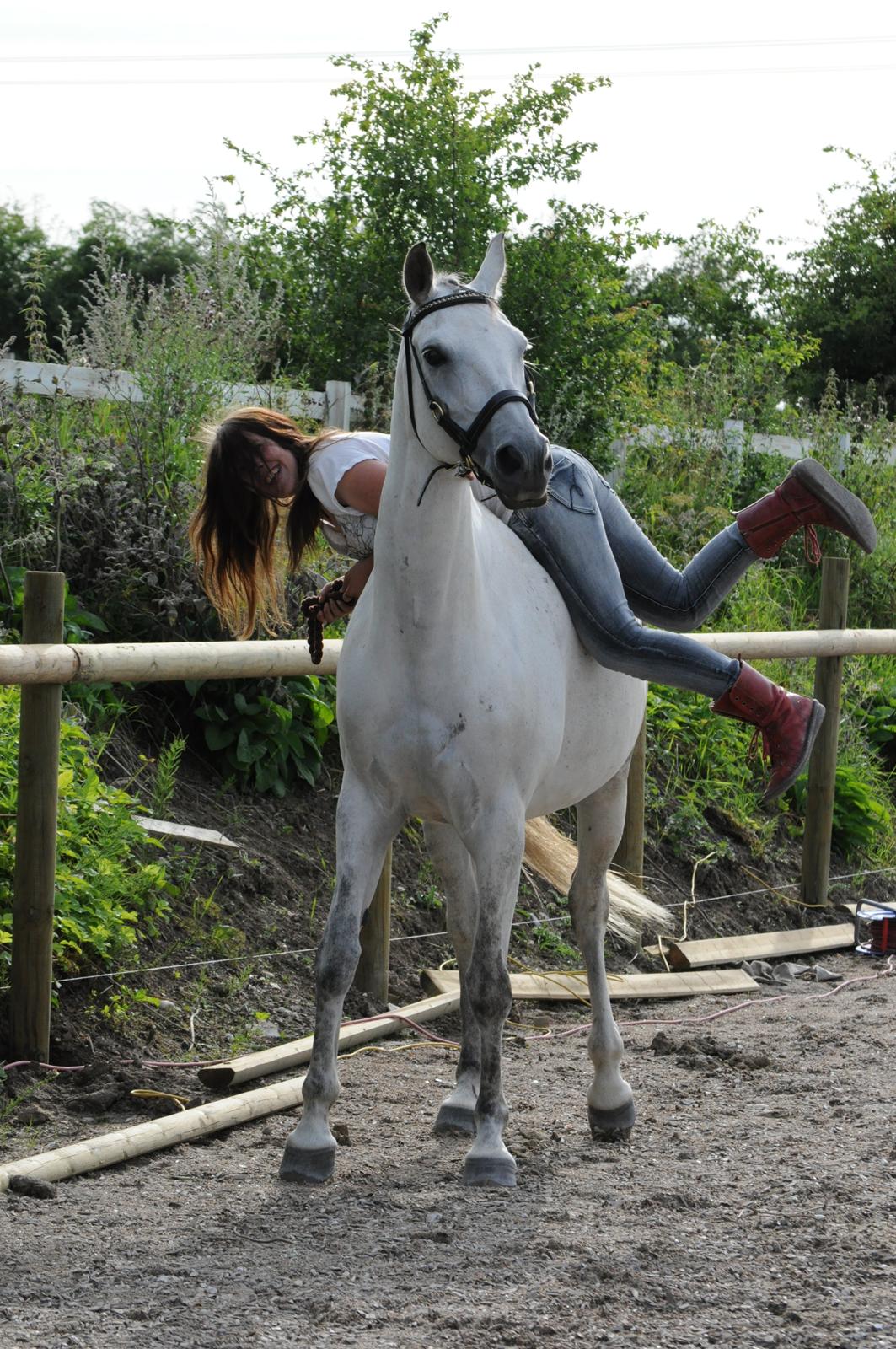 sjove/mærkelige/hyggelige billeder  billede 13