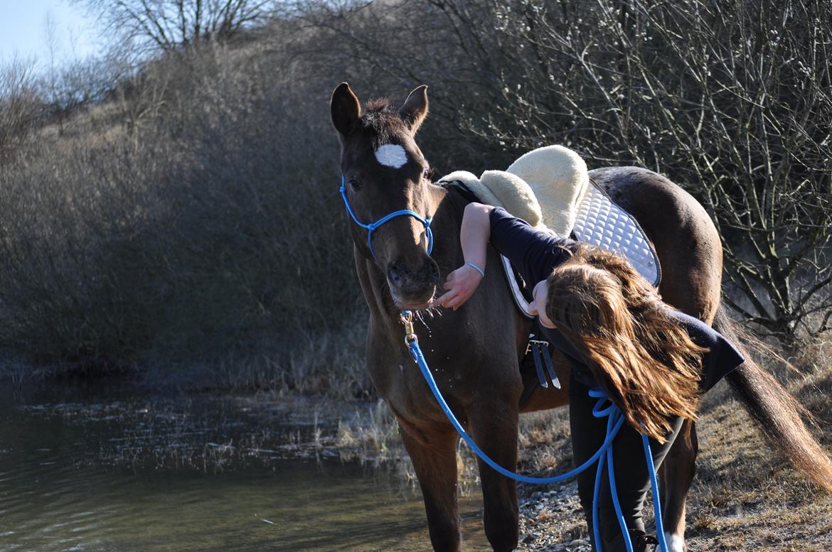 sjove/mærkelige/hyggelige billeder  billede 9