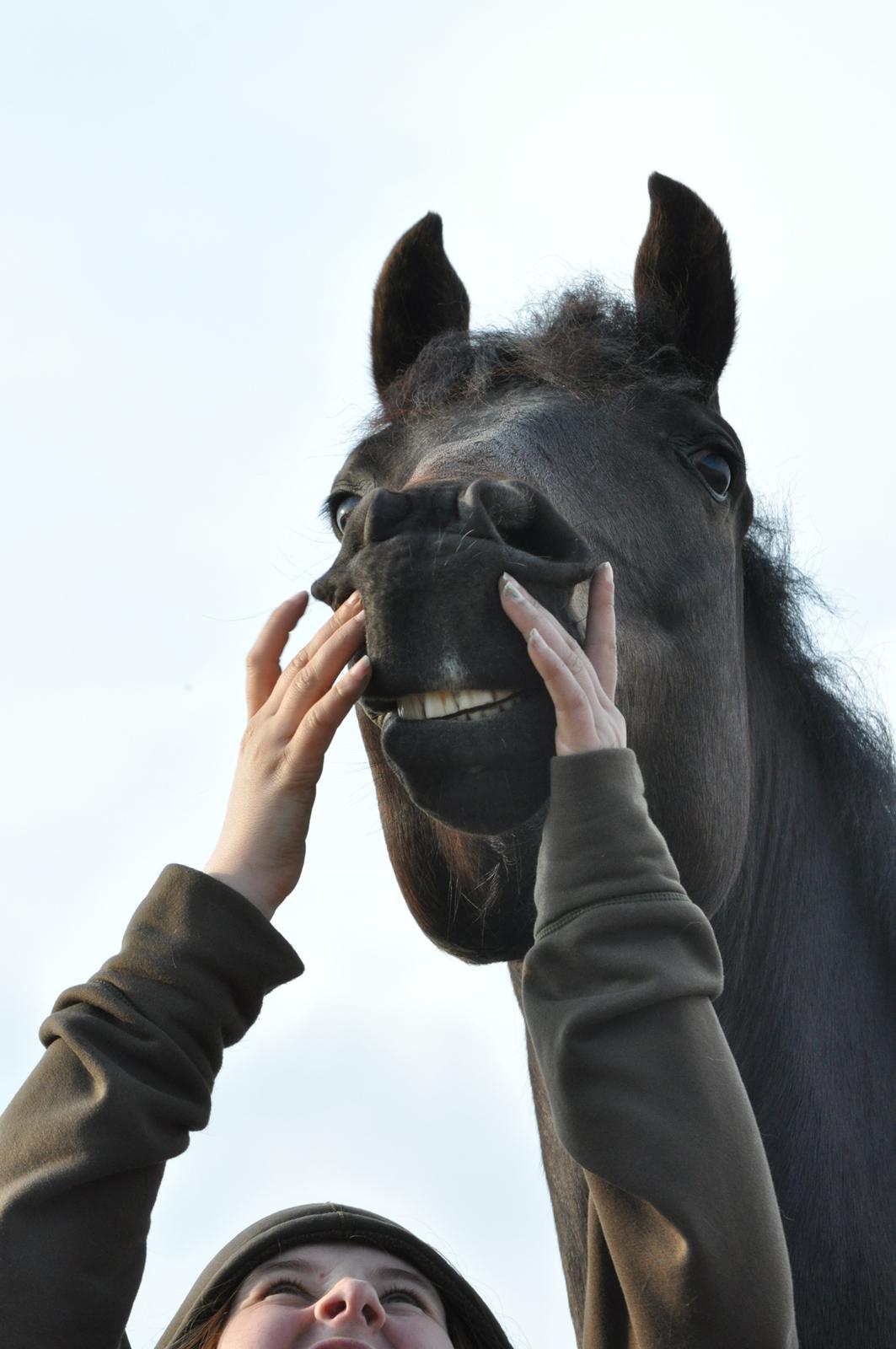 sjove/mærkelige/hyggelige billeder  billede 14